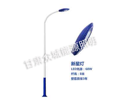 和政爆款市电路灯