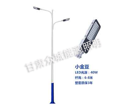 和政爆款市电路灯